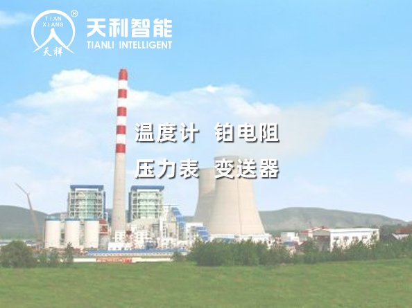 安徽華電六安電廠2*600MW級擴建工程